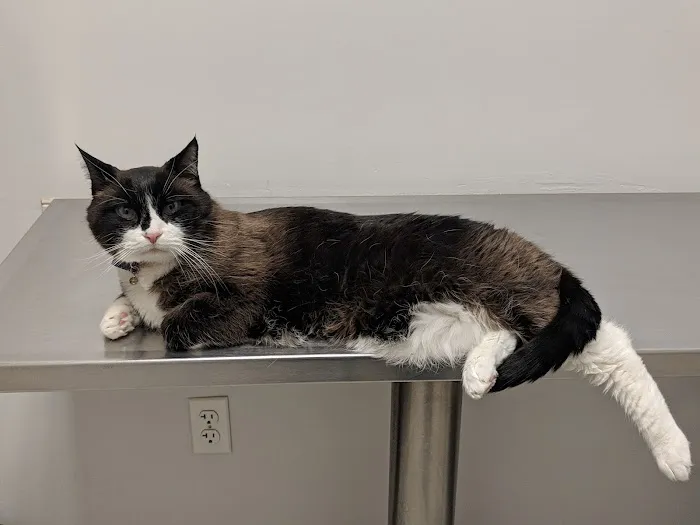 Canton Veterinary Hospital Picture 1