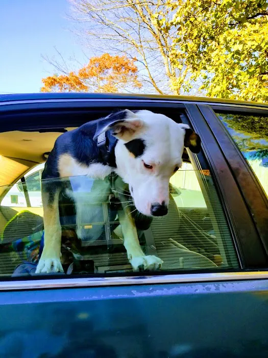 Canton Veterinary Hospital Picture 2