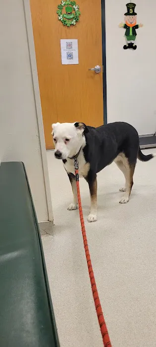 Canton Veterinary Hospital Picture 3