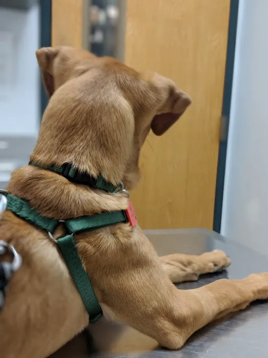 Canton Veterinary Hospital Picture 9