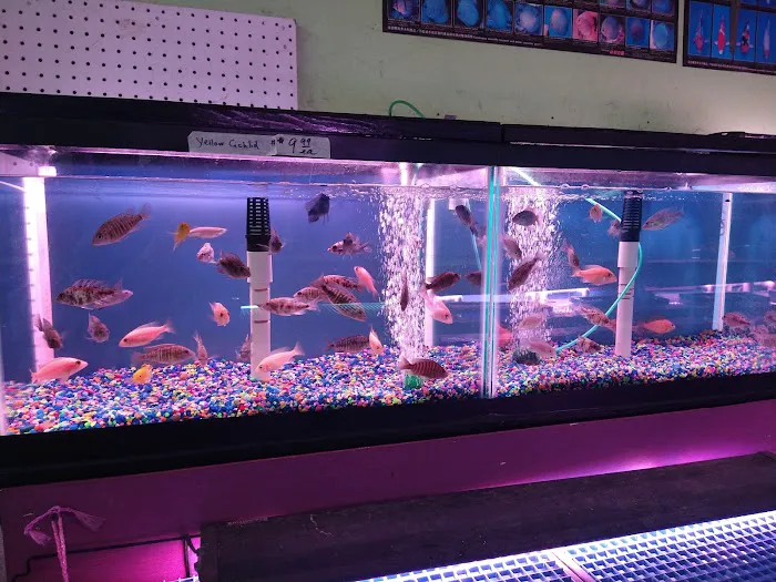 C D Aquarium Picture 4