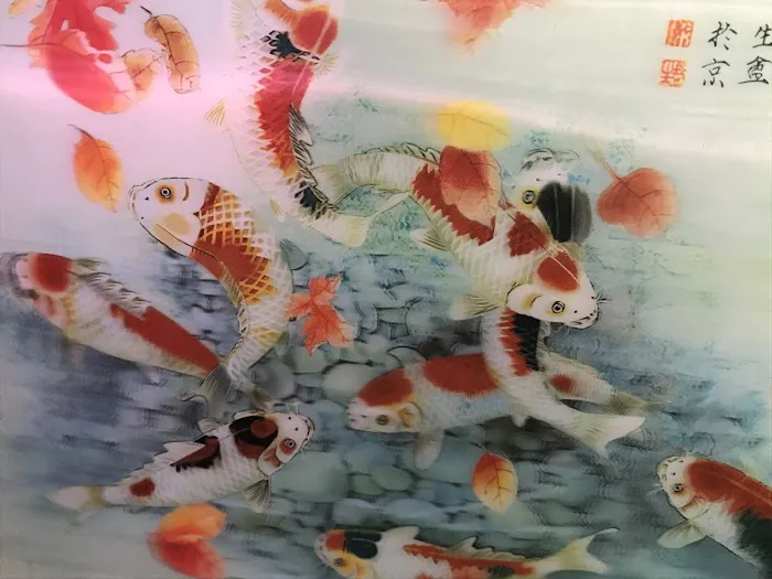 C D Aquarium Picture 6