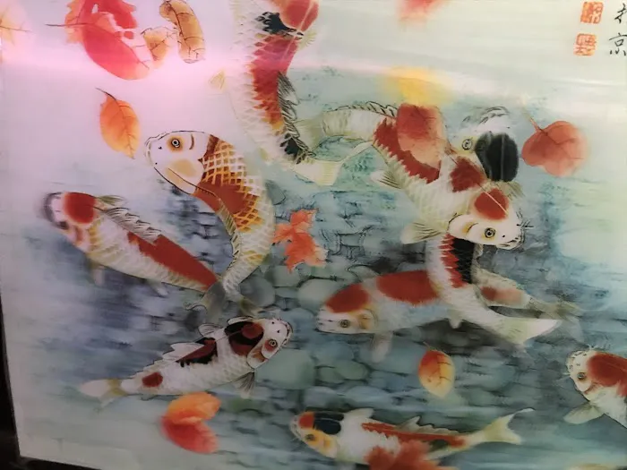 C D Aquarium Picture 9