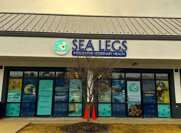 Sea Legs Integrative Veterinary Health Picture 4