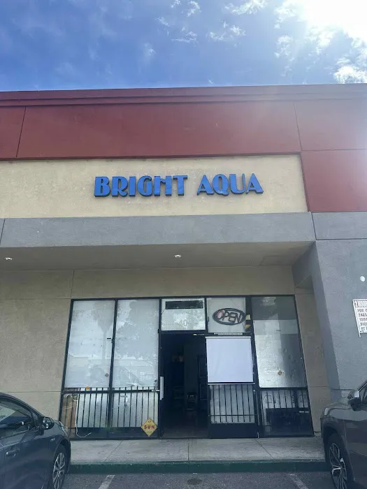 Bright Aqua Picture 1