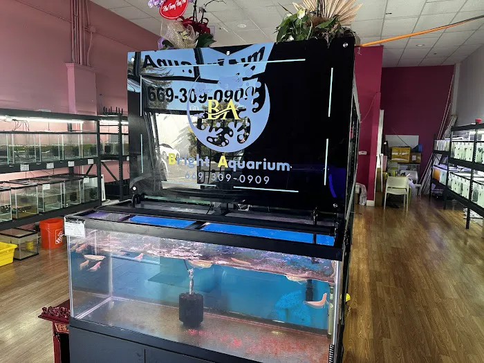 Bright Aquarium Picture 3