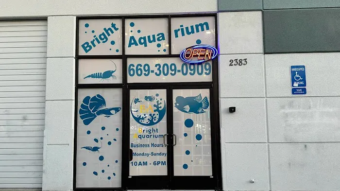 Bright Aquarium Picture 1