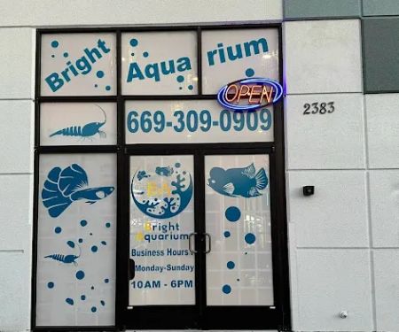 Bright Aquarium