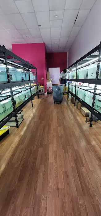 Bright Aquarium Picture 5