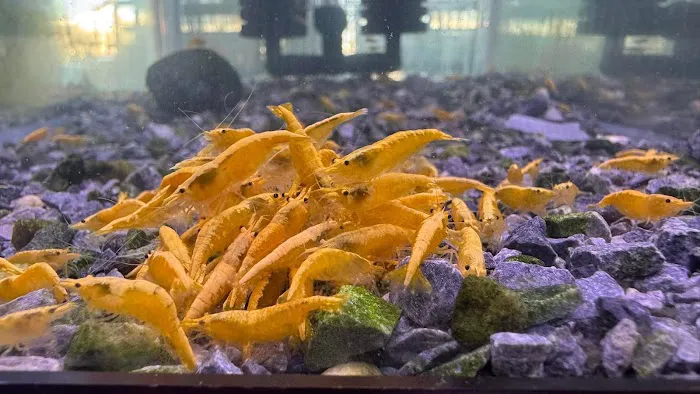 Bright Aquarium Picture 6