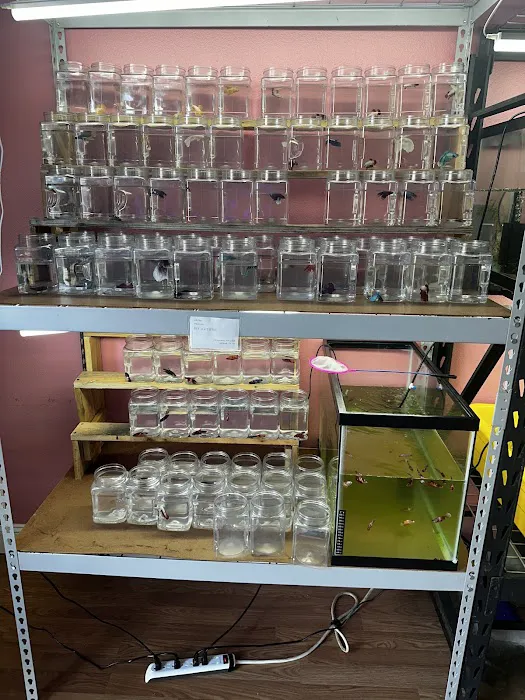 Bright Aquarium Picture 9