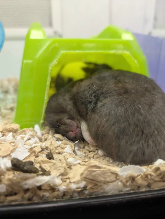 Petco Picture 5