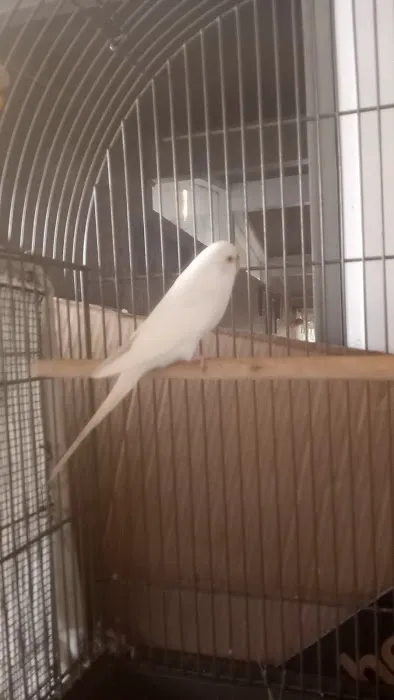 Petco Picture 9