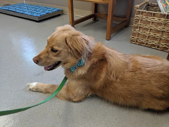 Parkway Veterinary Hospital Picture 2