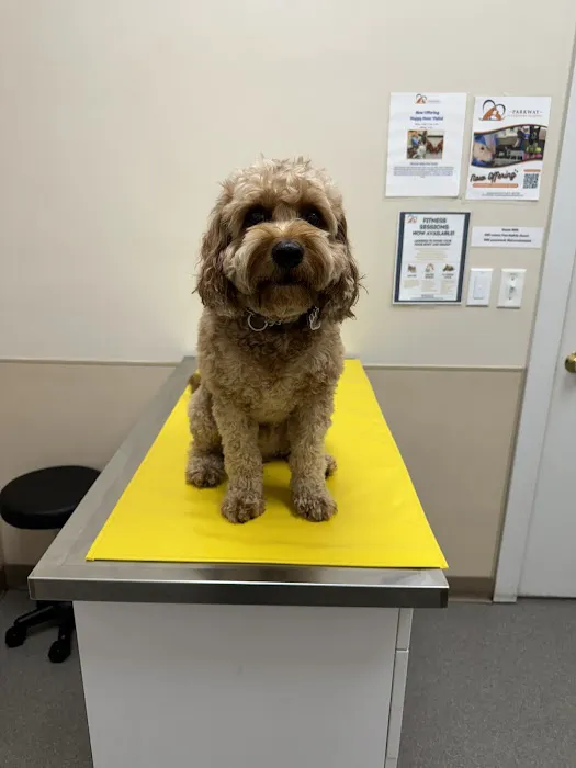 Parkway Veterinary Hospital Picture 5