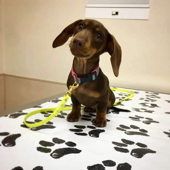 Parkway Veterinary Hospital Picture 10