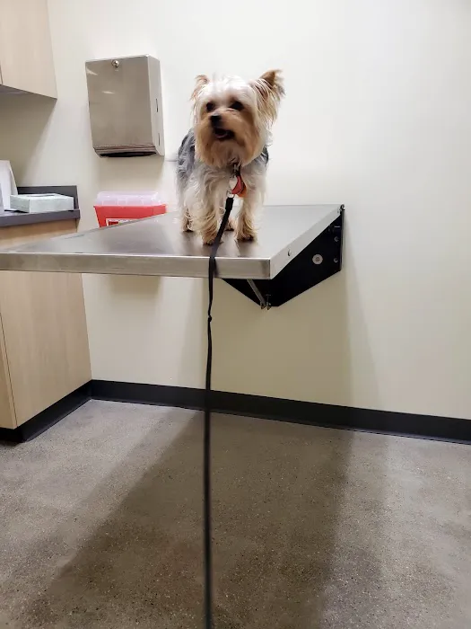Vetco Total Care Animal Hospital Picture 2