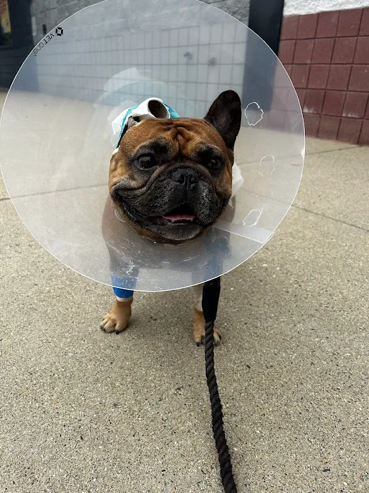Vetco Total Care Animal Hospital Picture 3