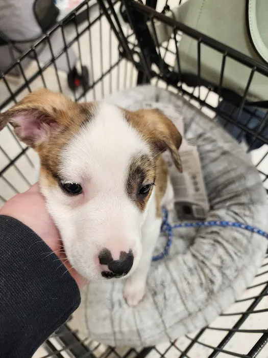 Vetco Total Care Animal Hospital Picture 7