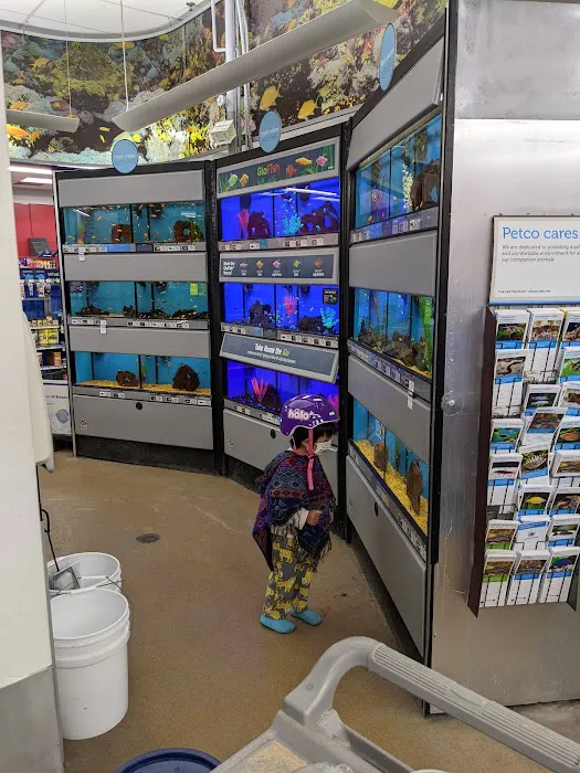 Petco Picture 9