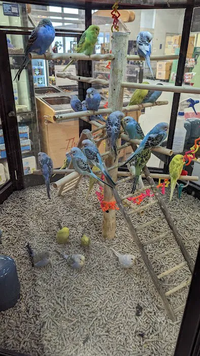 Petco Picture 8