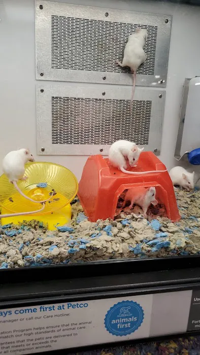Petco Picture 7