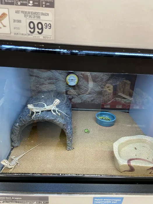 Petco Picture 10