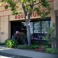 Aquatic Collection ico