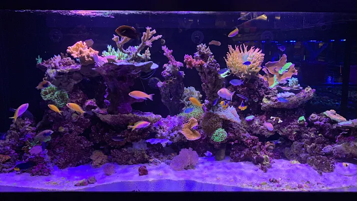 Aquatic Collection Picture 3