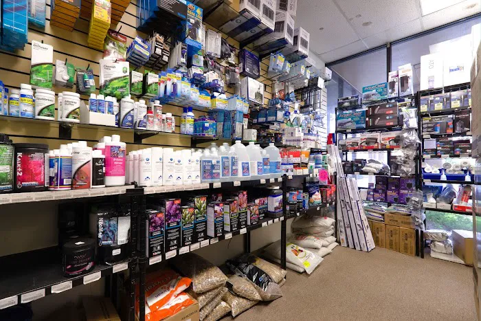 Aquatic Collection Picture 5