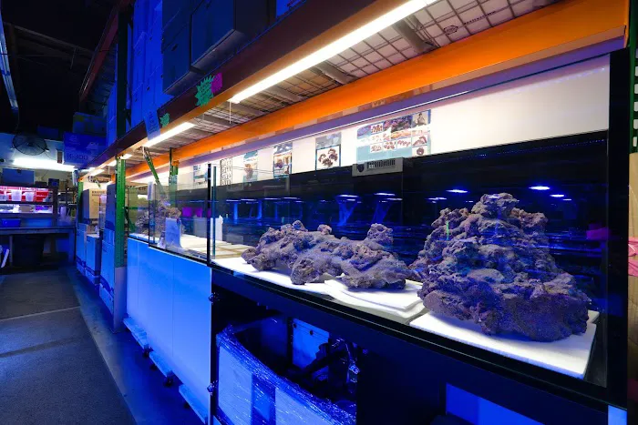 Aquatic Collection Picture 4