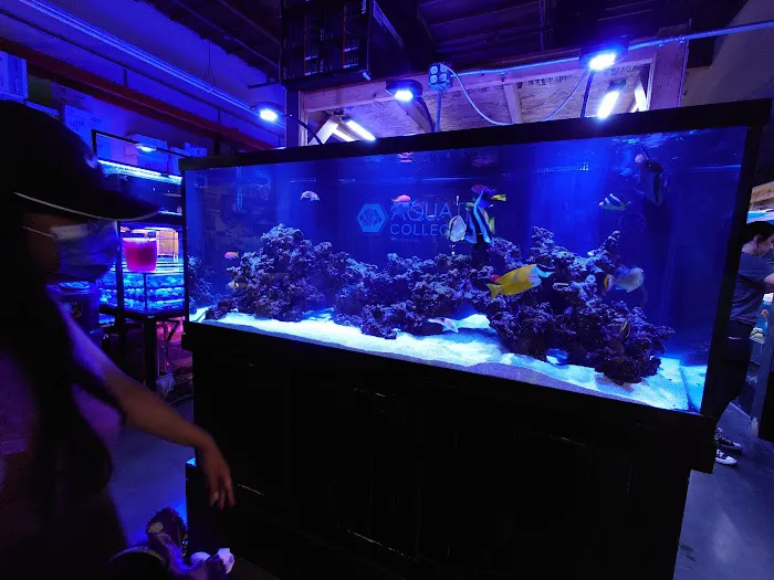 Aquatic Collection Picture 6