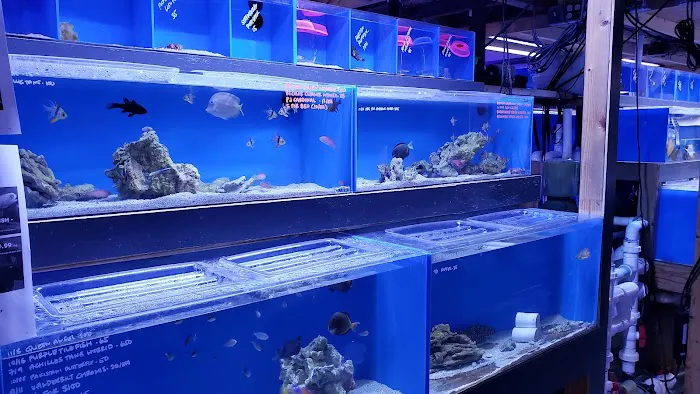 Aquatic Collection Picture 8