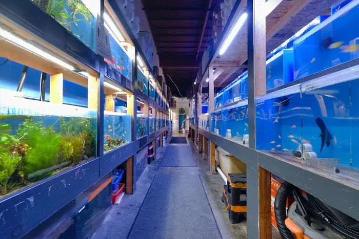 Aquatic Collection Picture 10