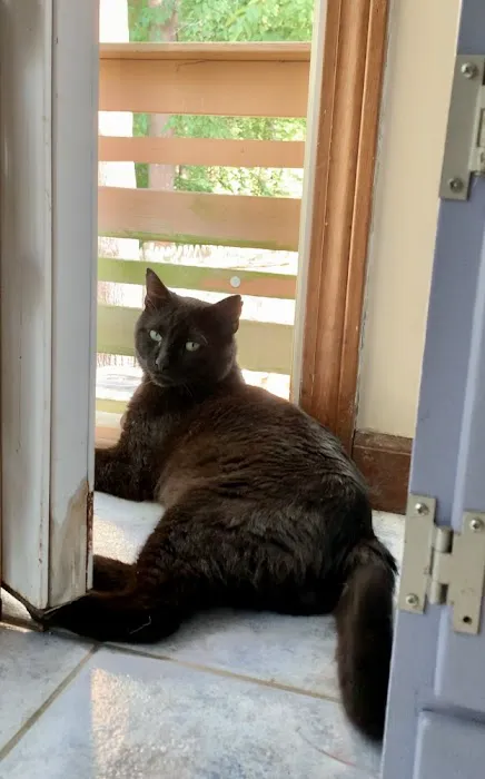 Community Veterinary Clinic Picture 1