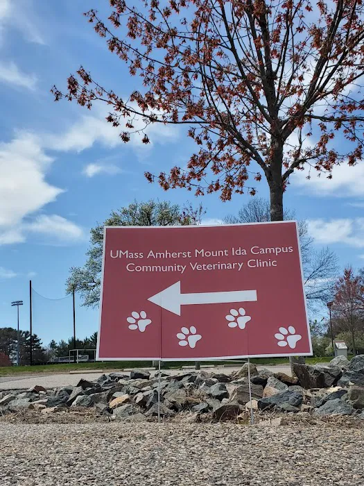 Community Veterinary Clinic Picture 3