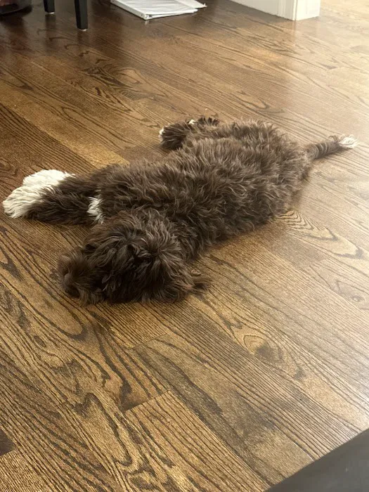 Community Veterinary Clinic Picture 5