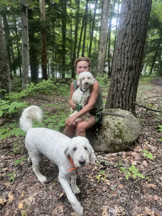 Veterinary Eye Center - Massachusetts Picture 10