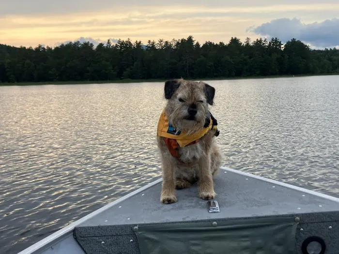 Veterinary Eye Center - Massachusetts Picture 9