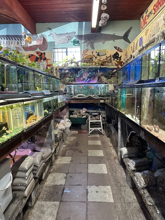 Superway Aquarium Picture 3