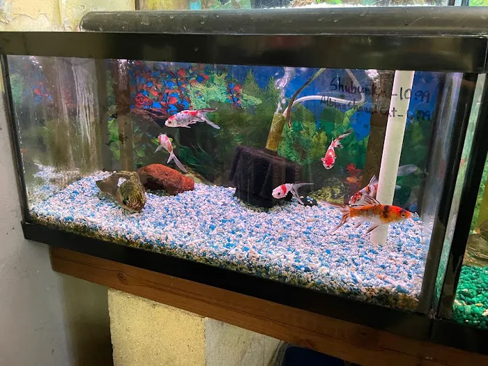 Superway Aquarium Picture 2