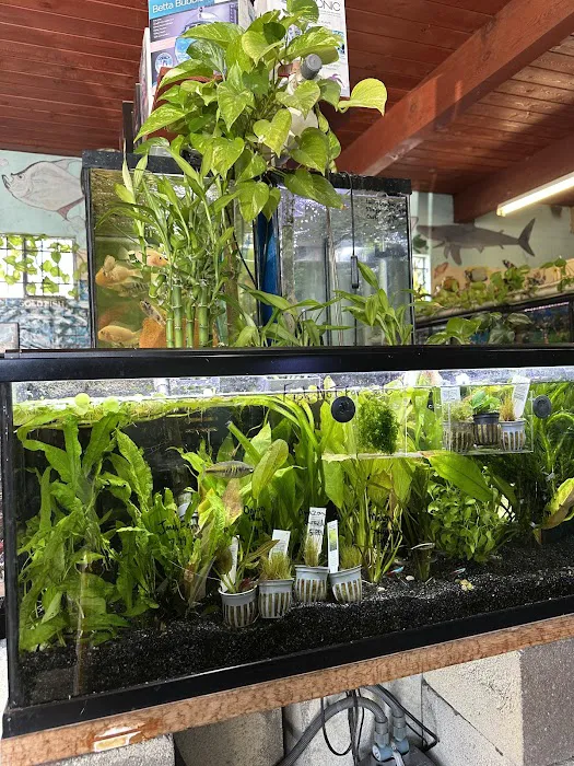 Superway Aquarium Picture 4