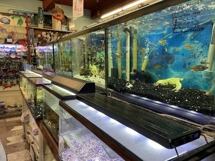 Superway Aquarium Picture 8