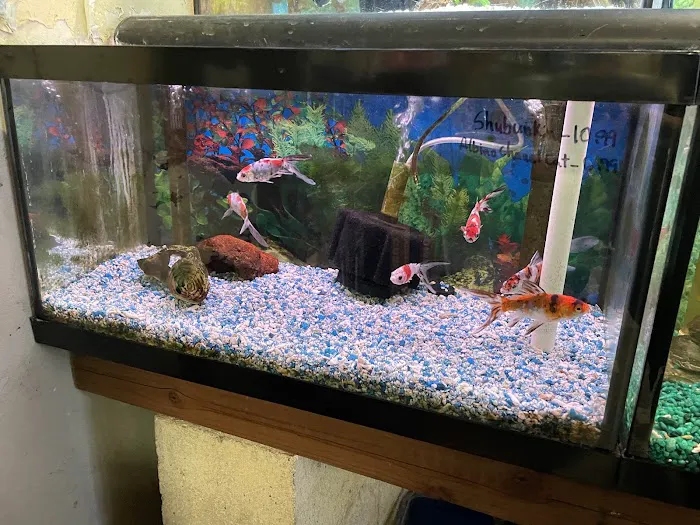 Superway Aquarium Picture 6