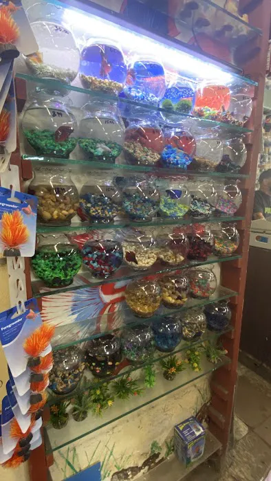 Superway Aquarium Picture 10