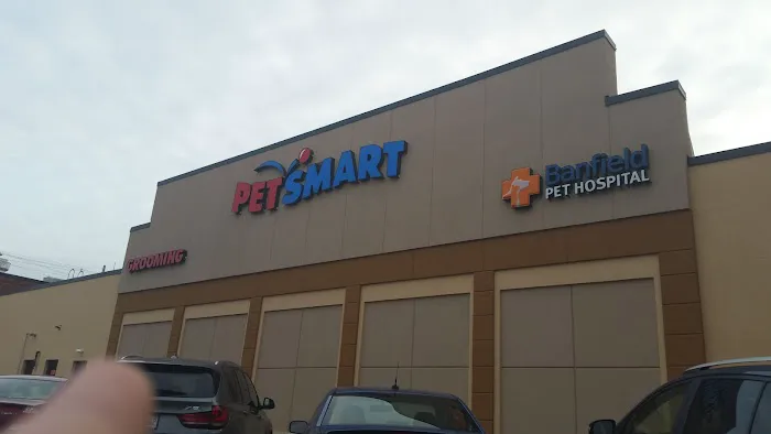 Banfield Pet Hospital Picture 8