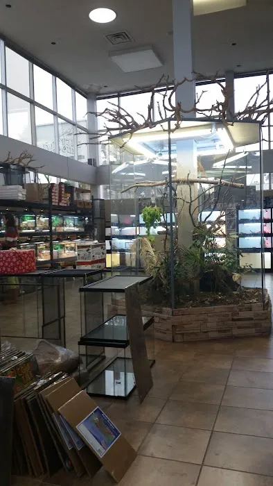 Reptile Room Picture 2