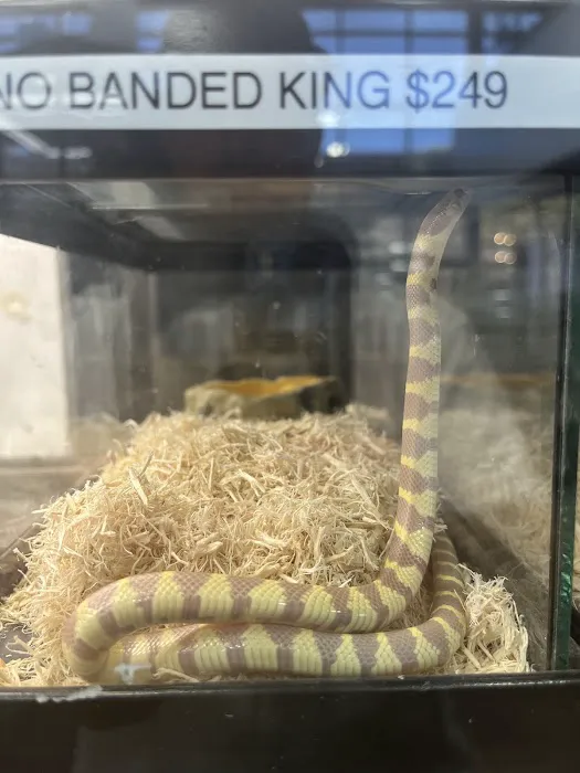 Reptile Room Picture 1