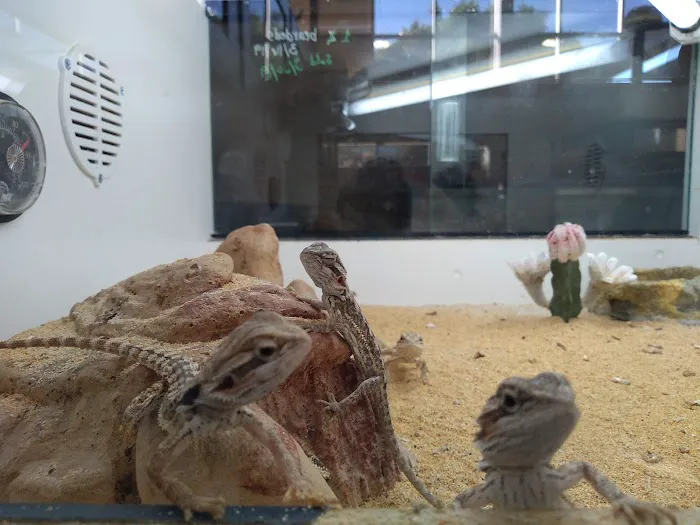 Reptile Room Picture 3