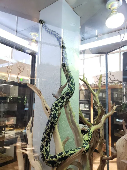 Reptile Room Picture 4